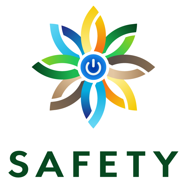 Instituto Safety